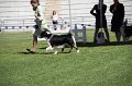 IMG_0494
