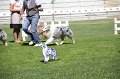 IMG_0499