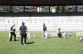 IMG_0519