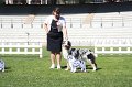 IMG_0530