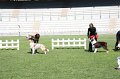 IMG_0075