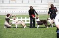IMG_0080