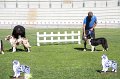 IMG_0081