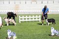 IMG_0082