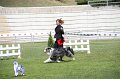 IMG_0735