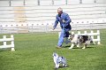 IMG_0743