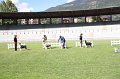 IMG_0750