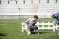 IMG_0754