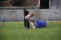 IMG_0653