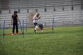 IMG_0660