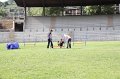 IMG_0699