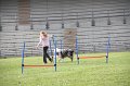 IMG_0705
