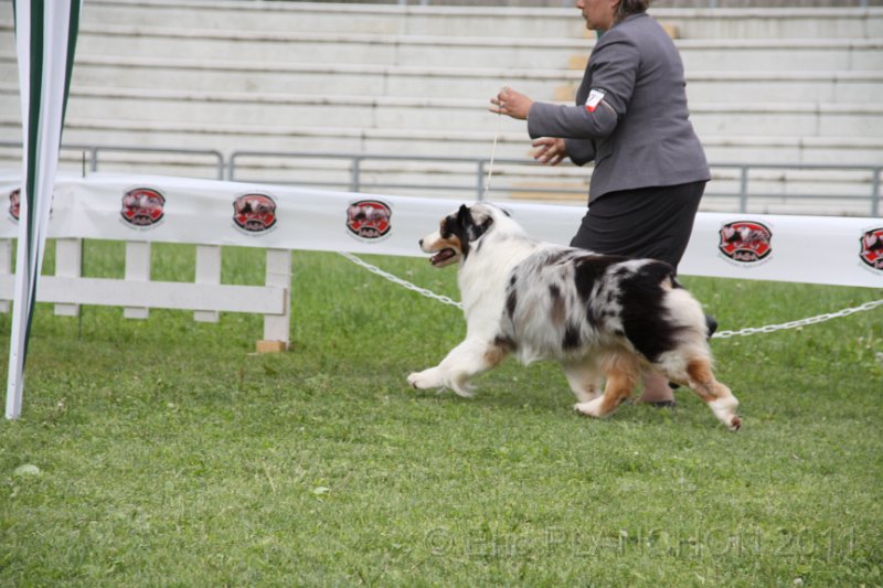 IMG_1557.JPG