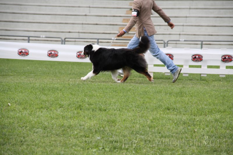 IMG_1588.JPG