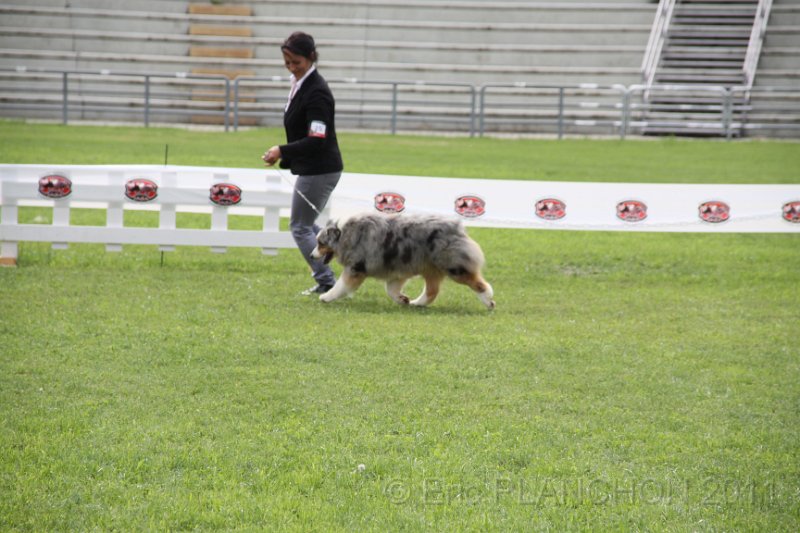 IMG_1633.JPG