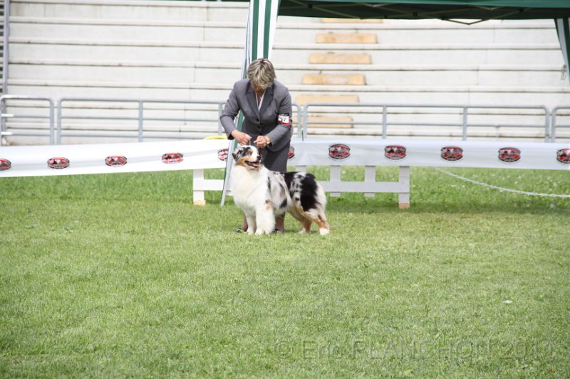 IMG_1659.JPG