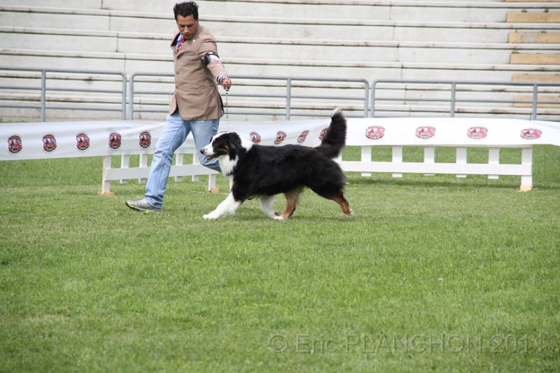 IMG_1731.JPG