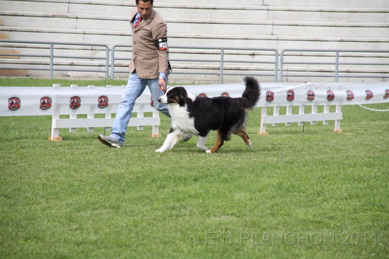 IMG_1733.JPG