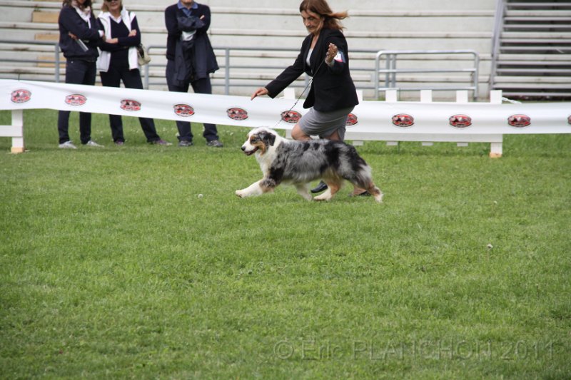 IMG_1762.JPG