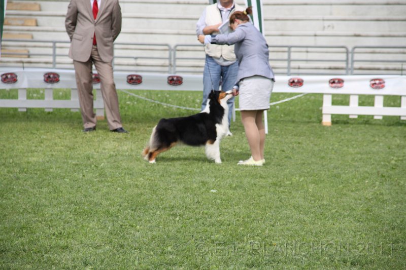 IMG_1784.JPG
