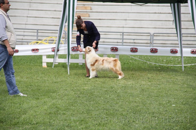 IMG_1797.JPG