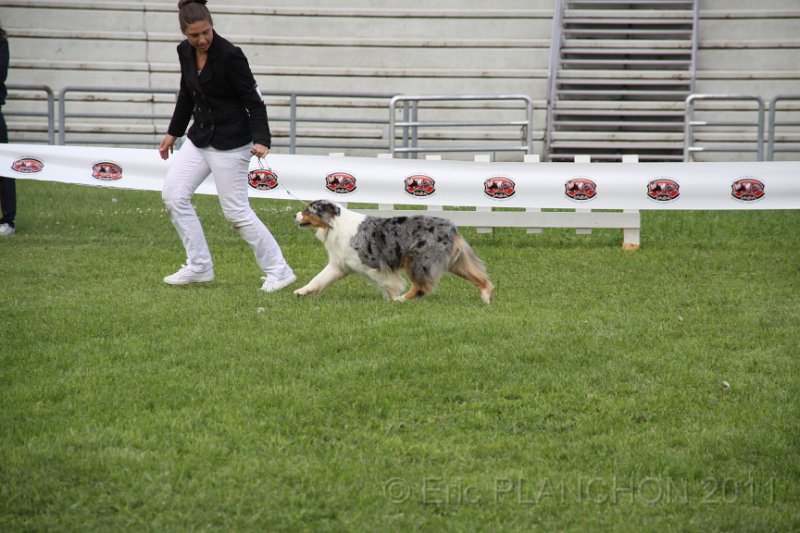 IMG_1858.JPG