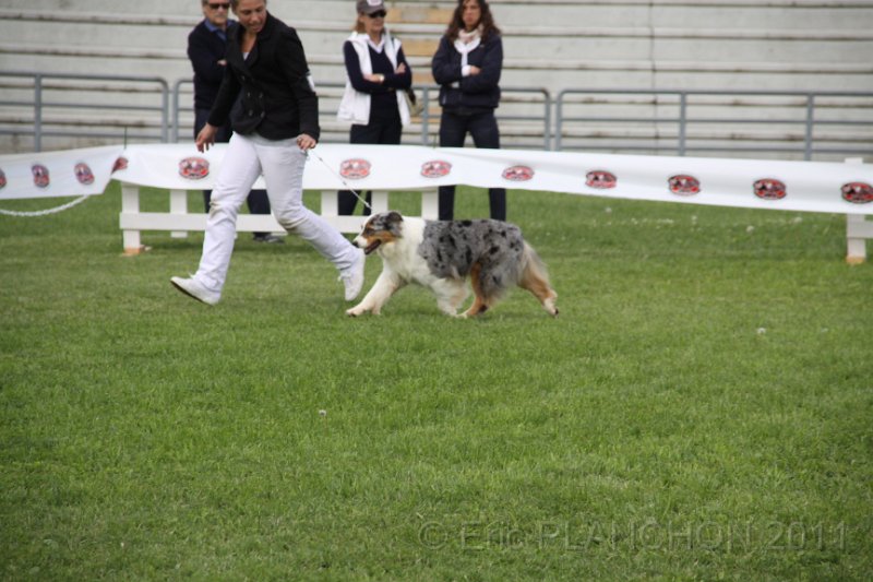 IMG_1860.JPG