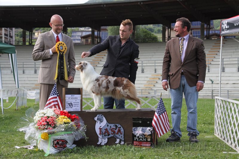 IMG_1954.JPG
