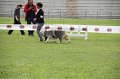 IMG_1635