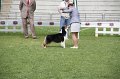 IMG_1784