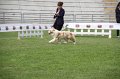 IMG_1808
