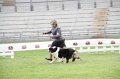 IMG_0976