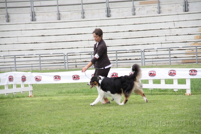 IMG_0274.JPG