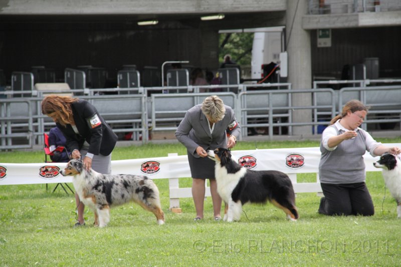 IMG_1493.JPG