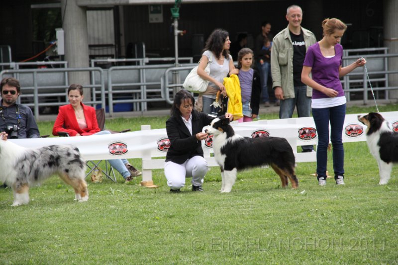 IMG_0530.JPG
