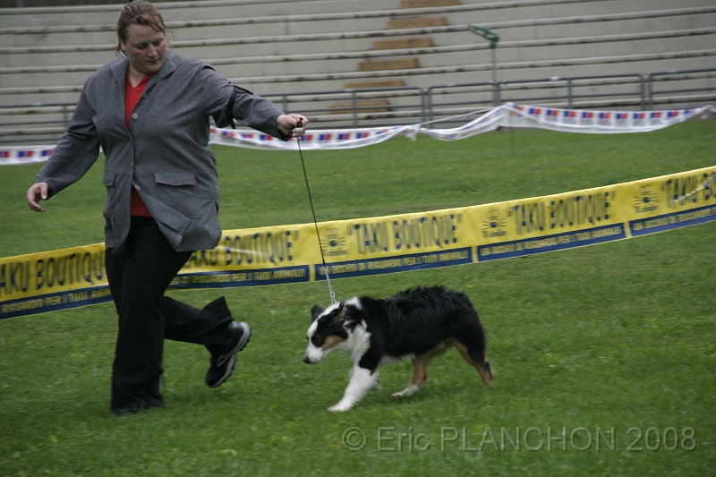 IMG_2684.JPG