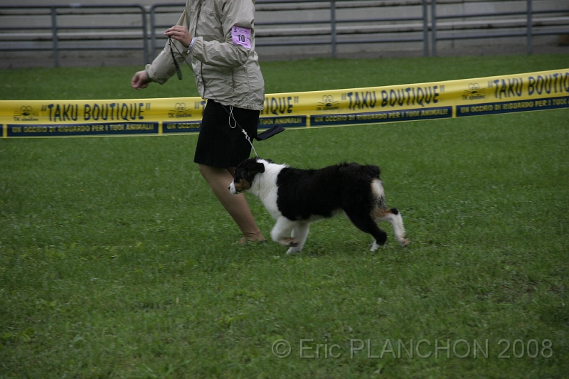 IMG_2730.JPG