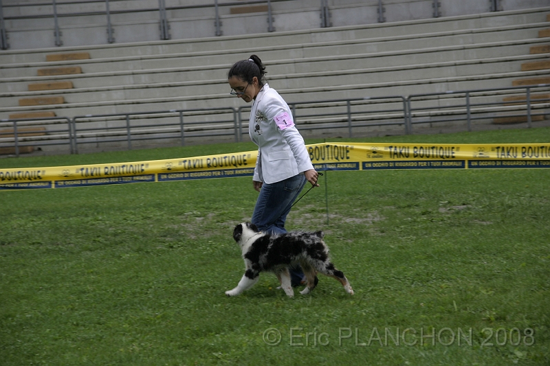 IMG_2737.JPG