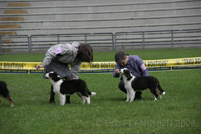 IMG_2764.JPG
