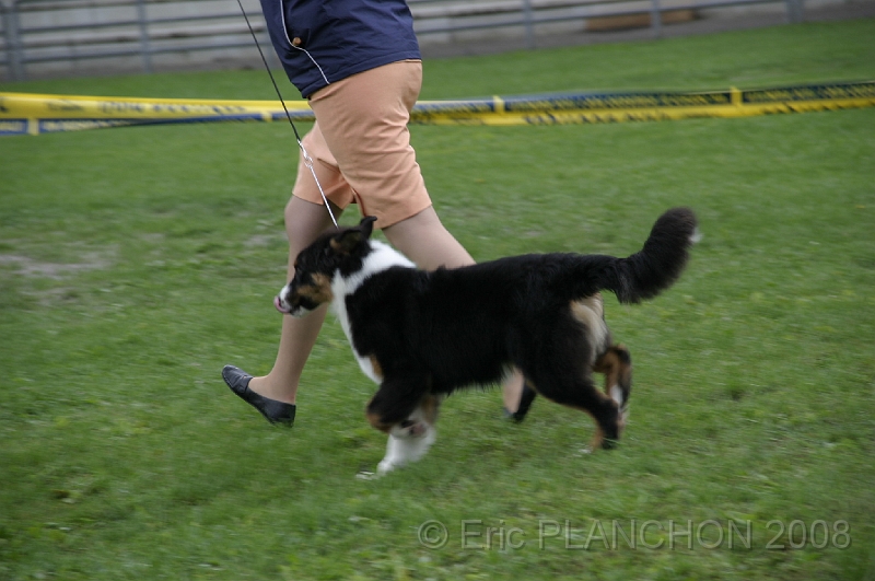 IMG_2831.JPG