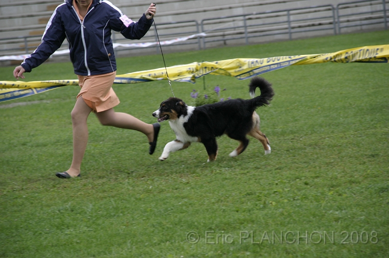 IMG_2833.JPG