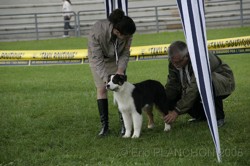 IMG_2854.JPG
