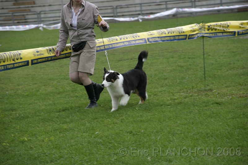 IMG_2863.JPG