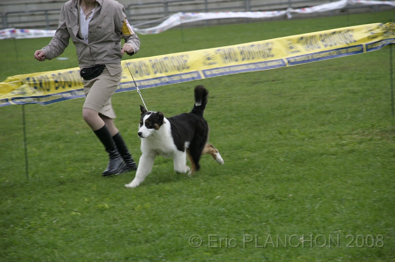 IMG_2864.JPG