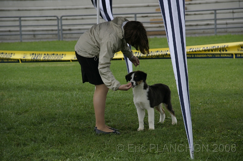 IMG_2869.JPG