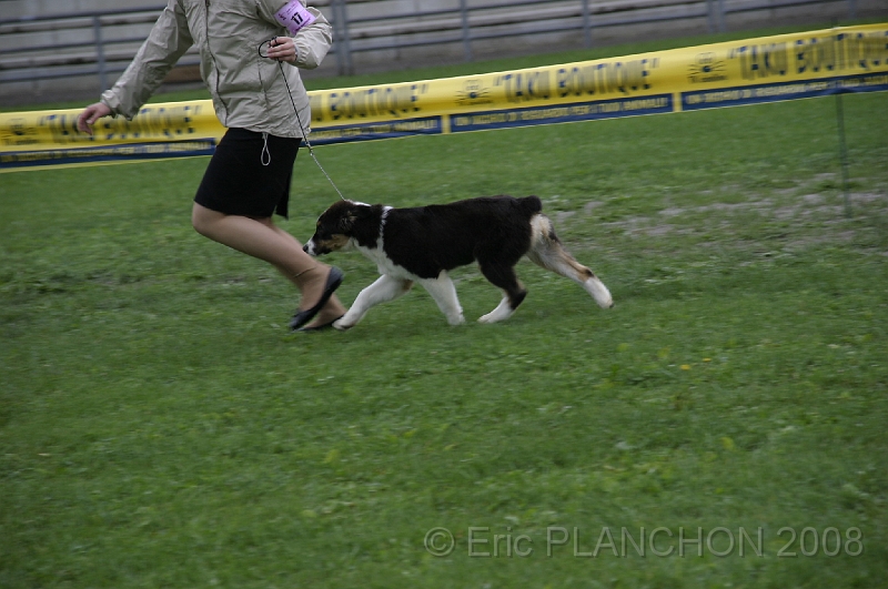 IMG_2877.JPG