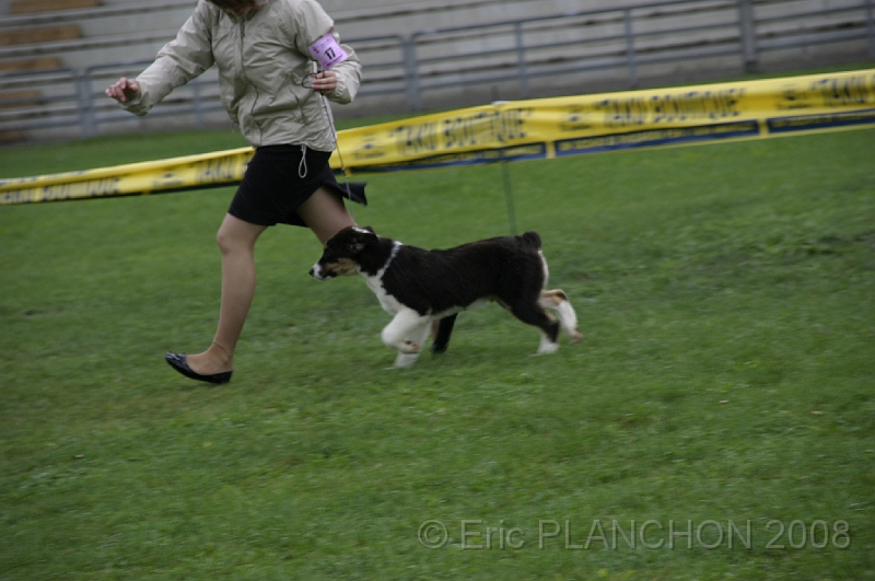 IMG_2878.JPG