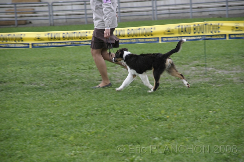 IMG_2919.JPG