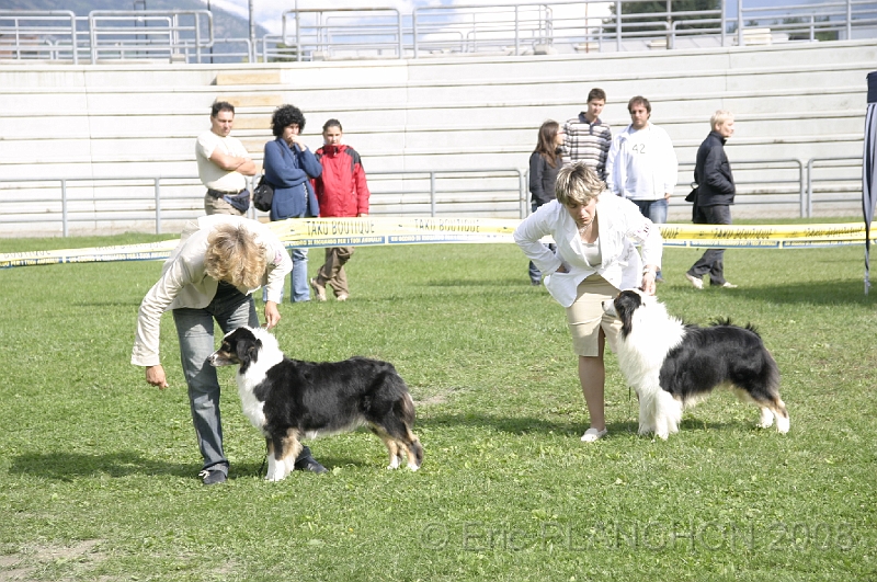 IMG_4427.JPG