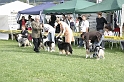 IMG_3448
